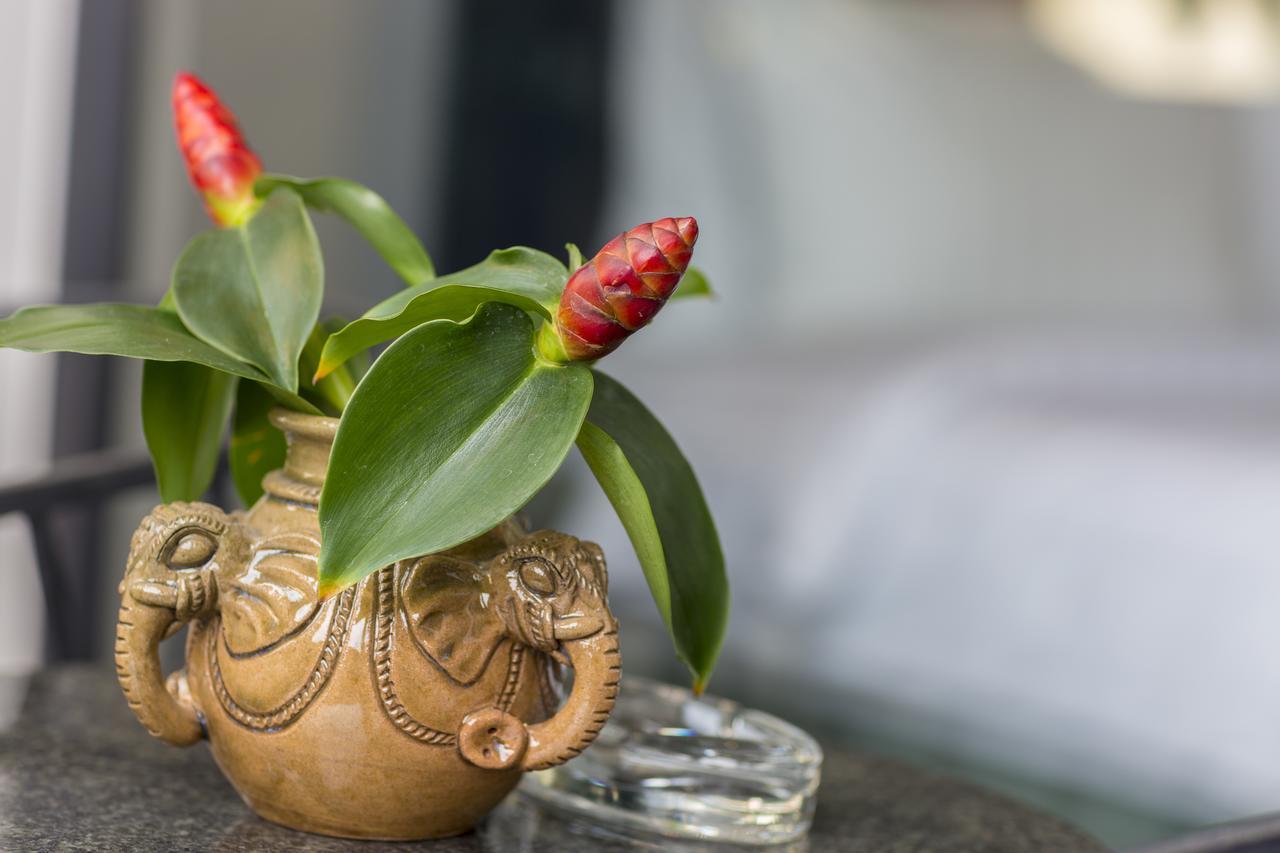 Elia Boutique Hotel Siem Reap Zewnętrze zdjęcie